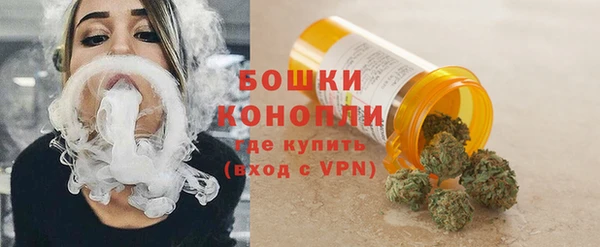 индика Верхний Тагил