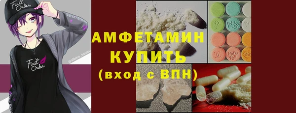 индика Вязьма