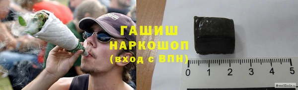 индика Вязьма