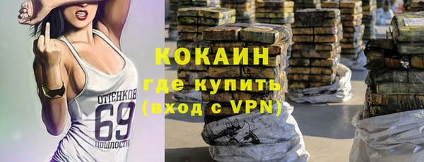 амф Верея