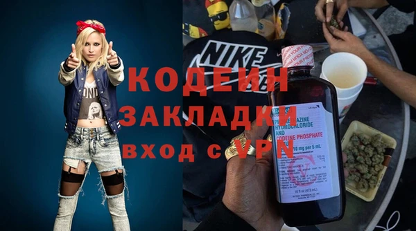 индика Верхний Тагил
